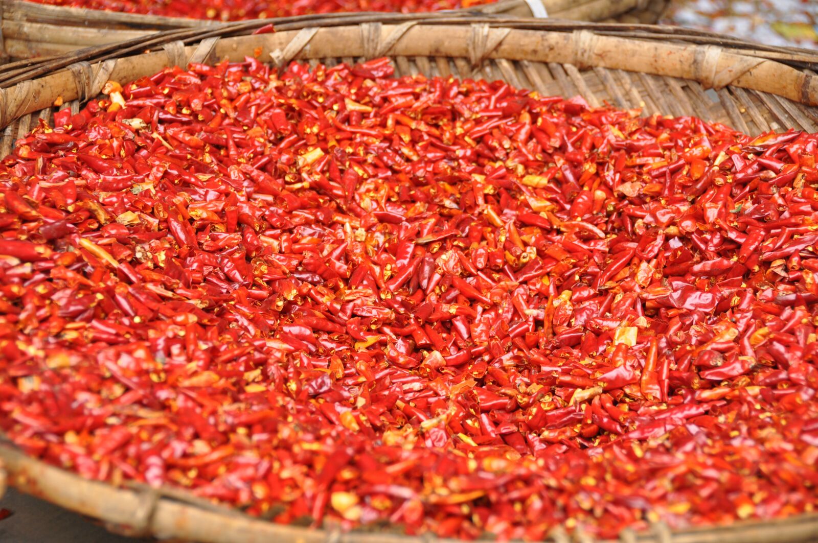 Nikon D90 sample photo. Chili, spices, pepper photography