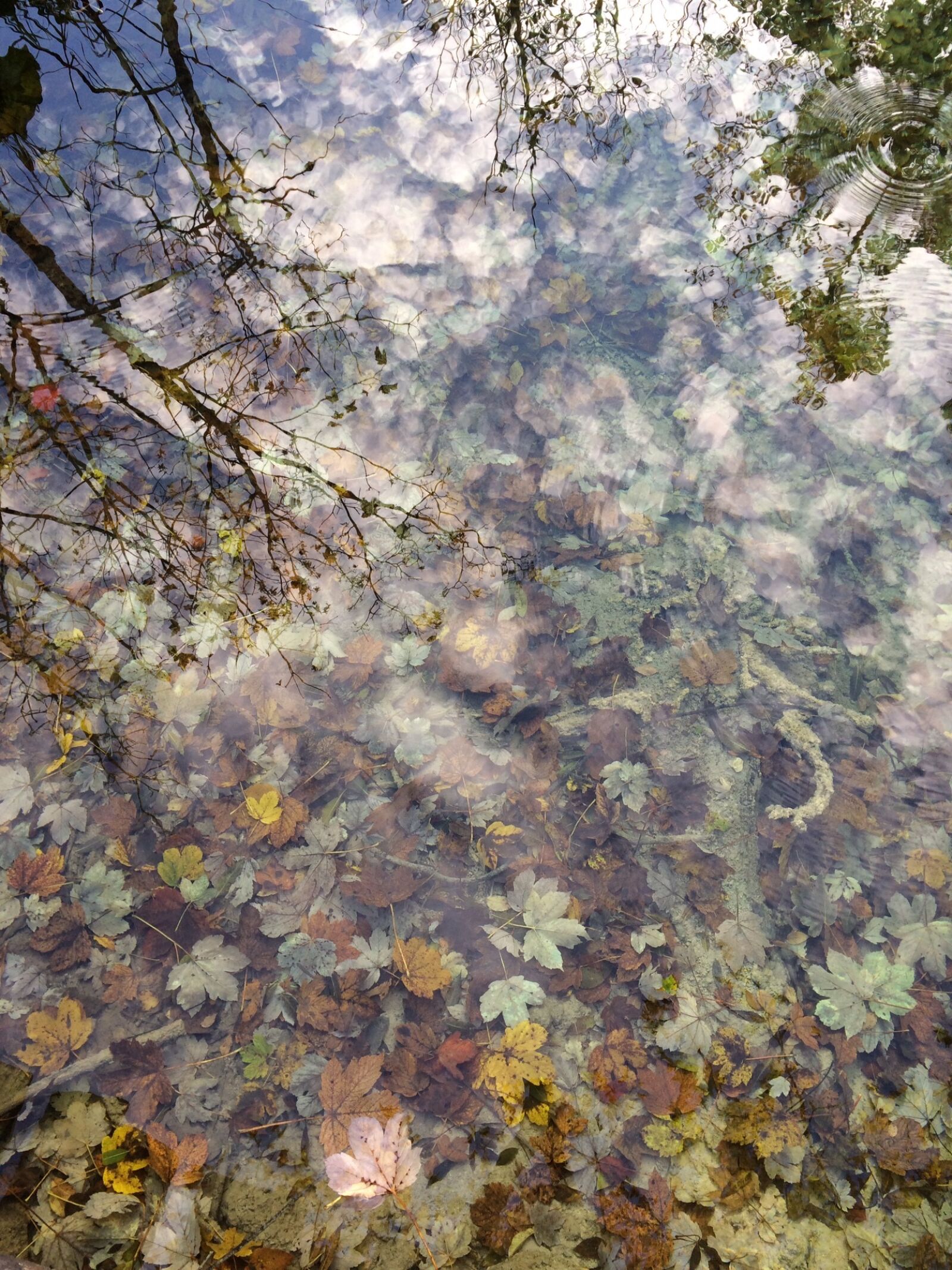 iPhone 5s back camera 4.15mm f/2.2 sample photo. Water, plitvice, croatia photography