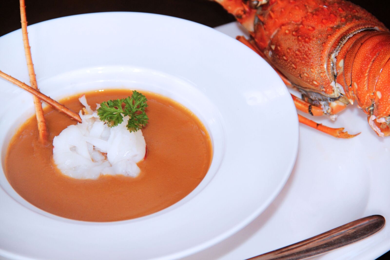 Canon EOS 550D (EOS Rebel T2i / EOS Kiss X4) sample photo. Lobster soup, western, catering photography