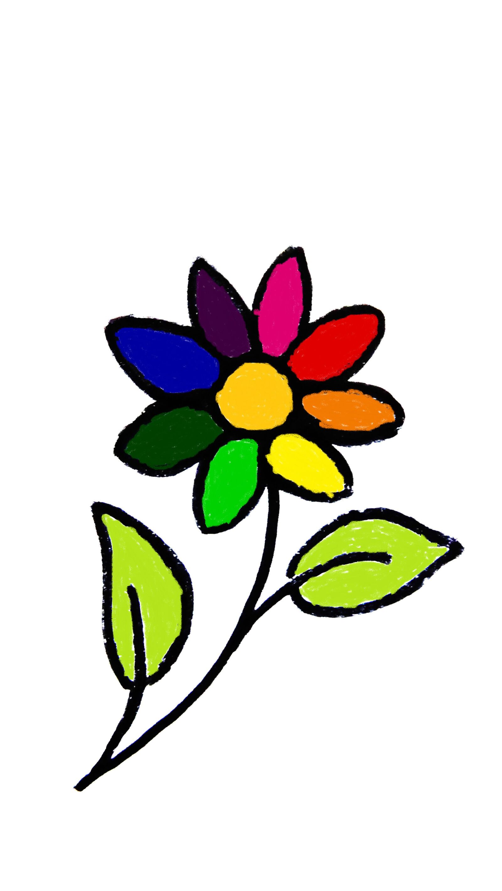 Sony Cyber-shot DSC-HX300 sample photo. Colorful flower, color, petals photography