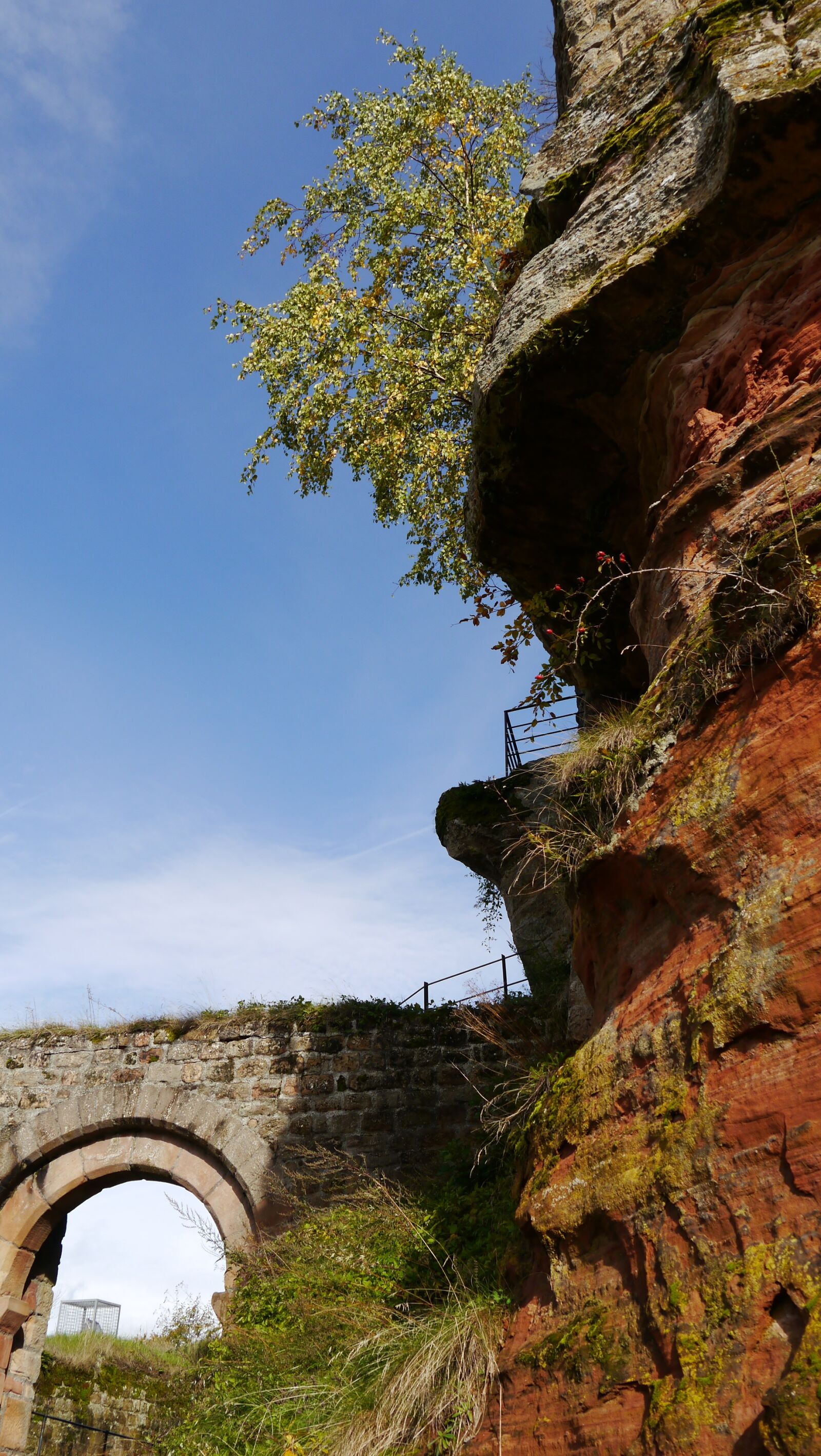 Panasonic Lumix DMC-G5 sample photo. Palatinate, castle, ruin photography