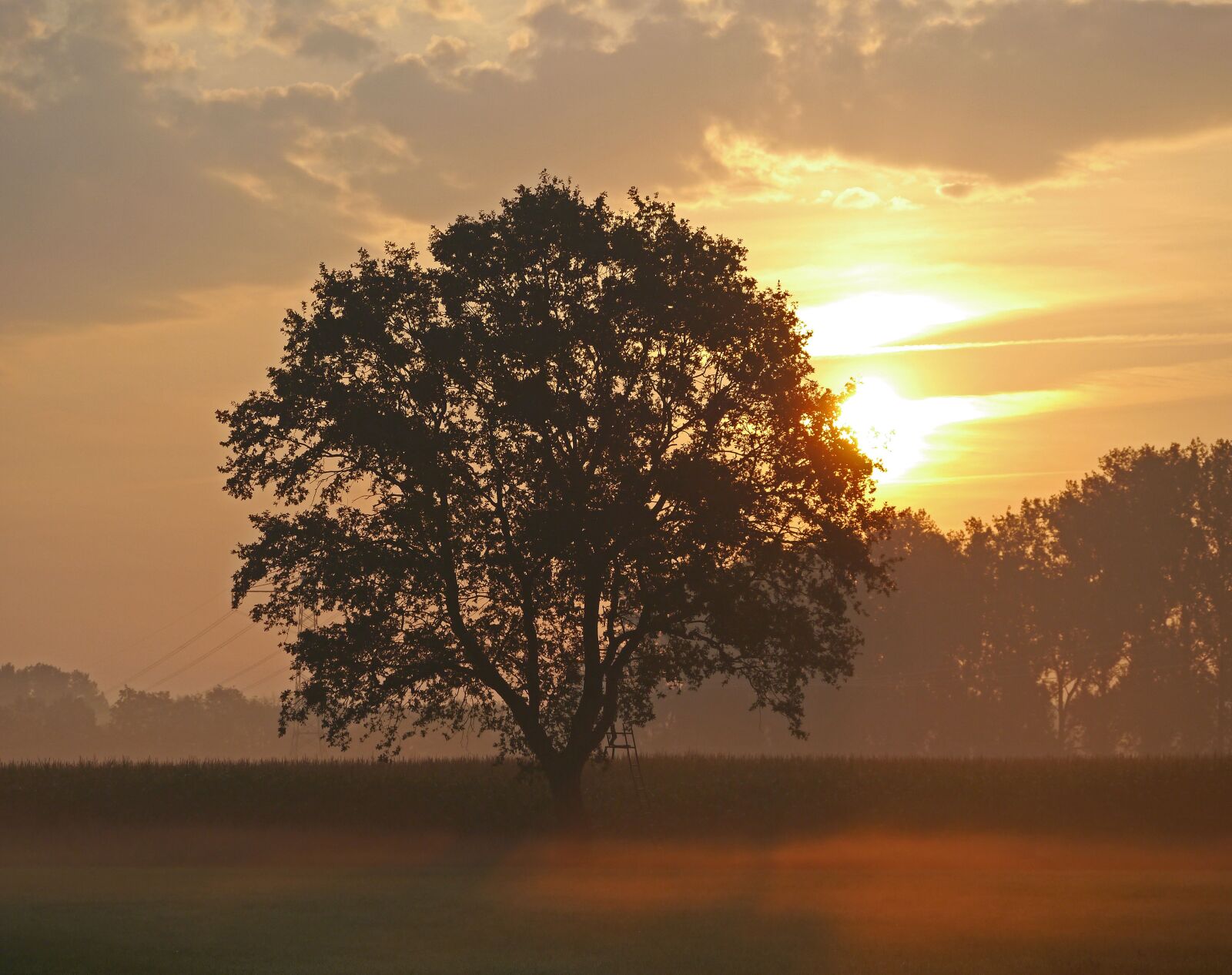 Panasonic Lumix DMC-G3 sample photo. Morning sun, ground fog photography