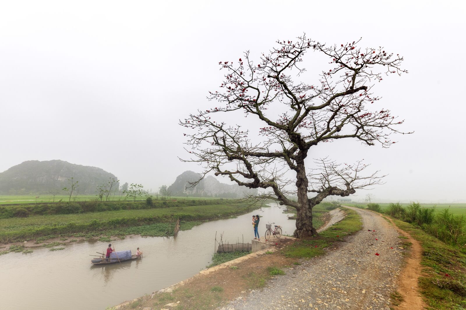 Nikon D850 sample photo. United rice, vietnamese village photography