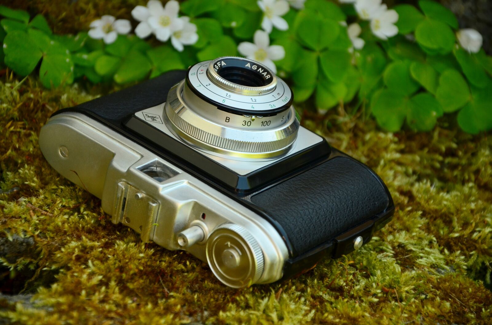 Nikon D5100 sample photo. Camera, old antique, agfa photography