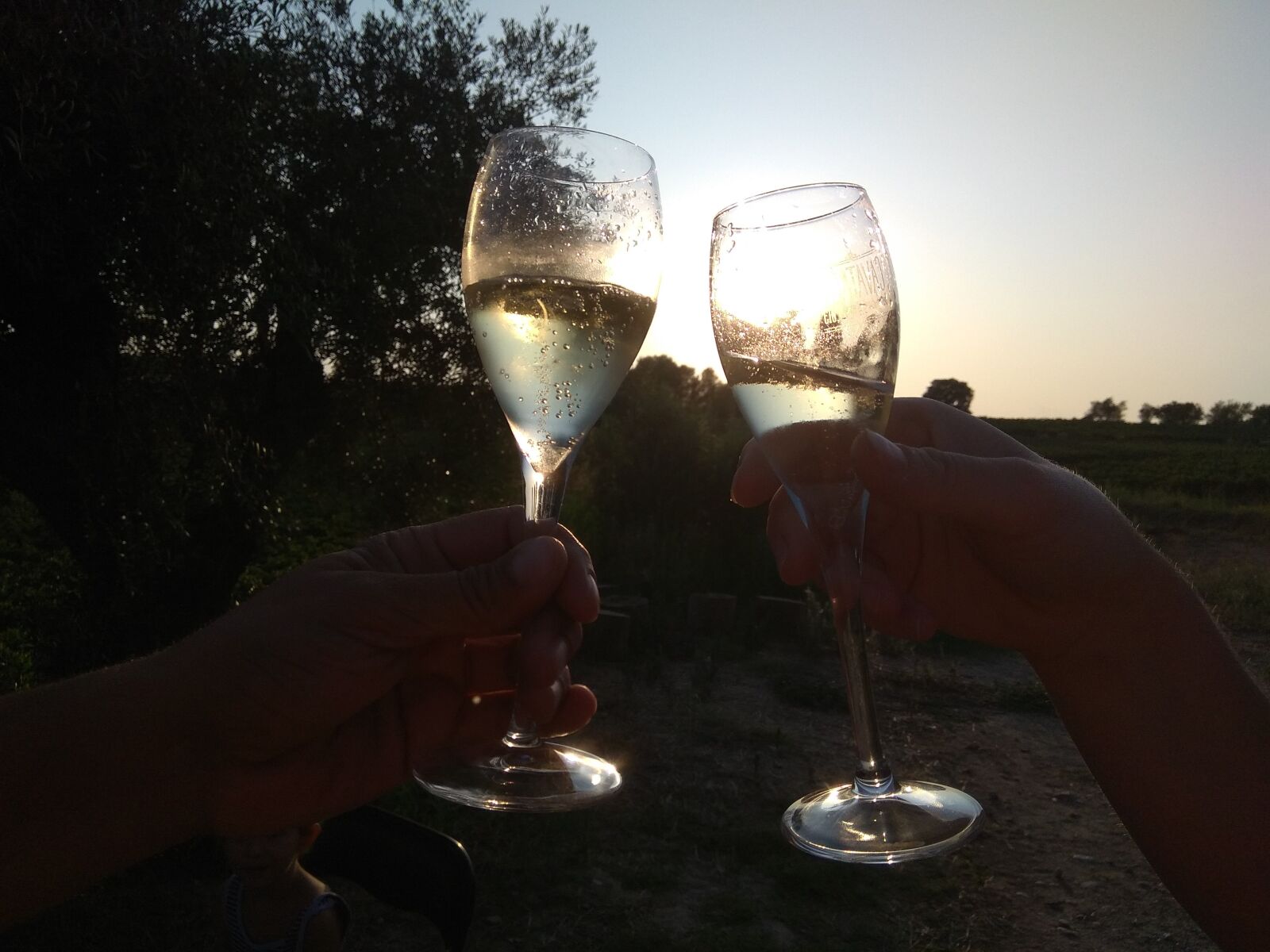 Xiaomi Redmi Note 4 sample photo. Toast, cava, vineyard photography