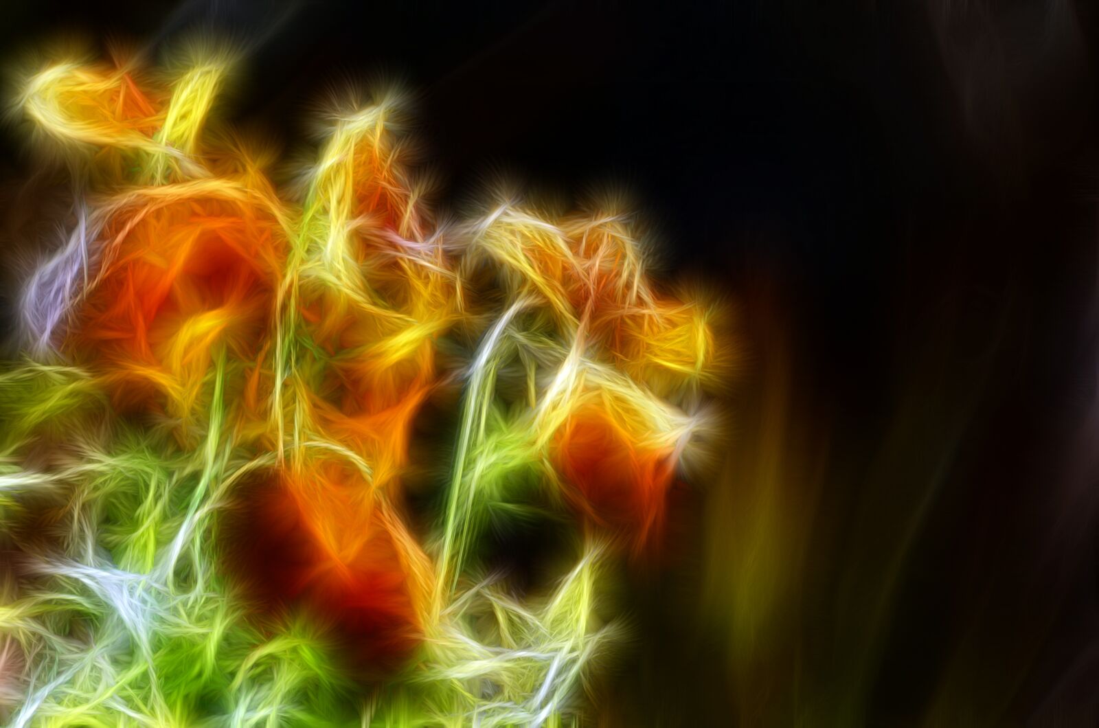 Nikon D7000 sample photo. Nature, color, blur photography