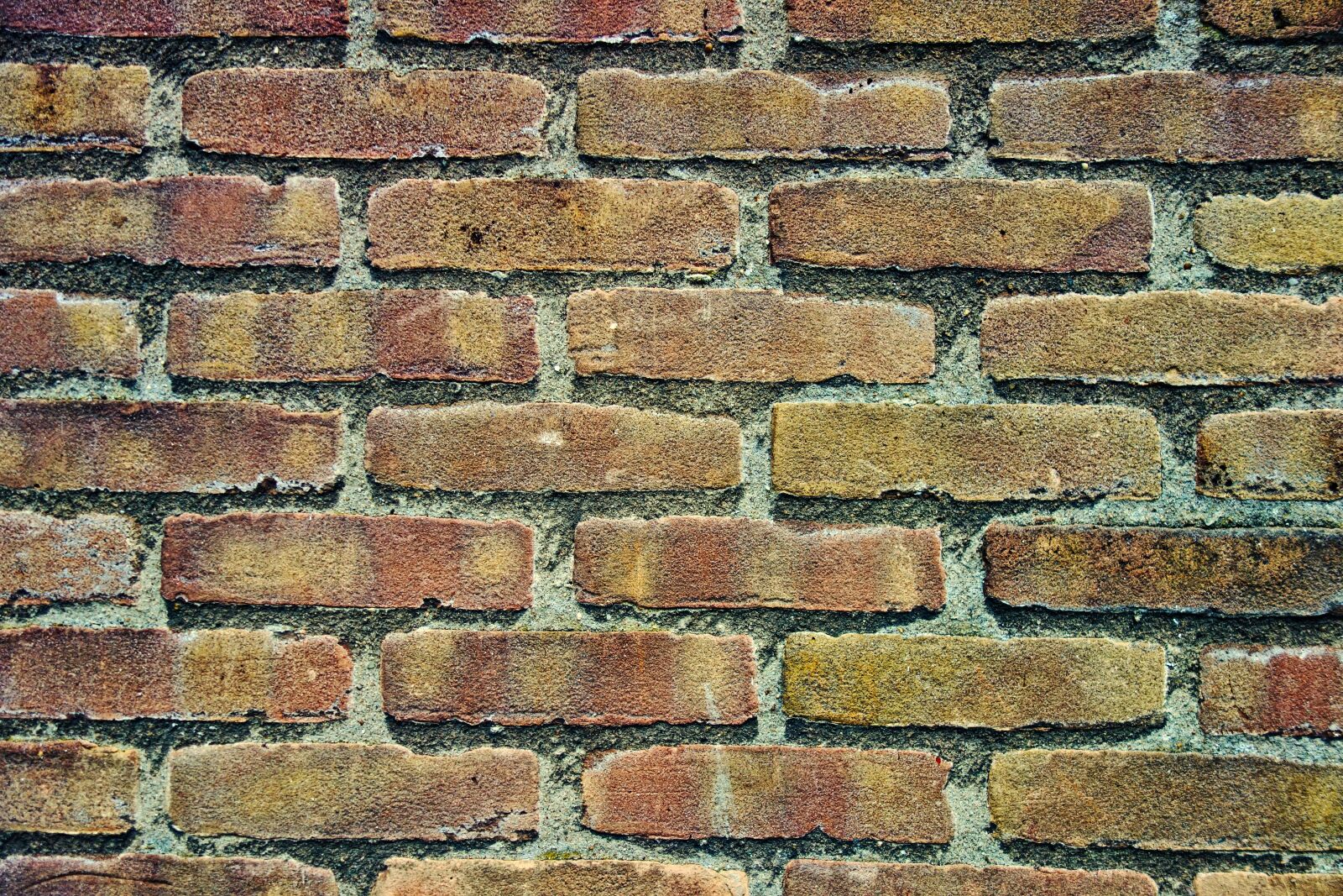 Sony Cyber-shot DSC-RX100 sample photo. Brick wall, wall, brick photography