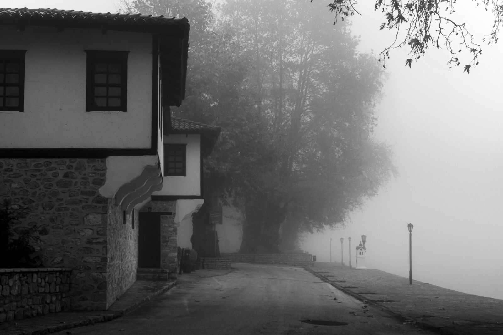 Tamron SP 24-70mm F2.8 Di VC USD sample photo. Fog, nature, landscape photography