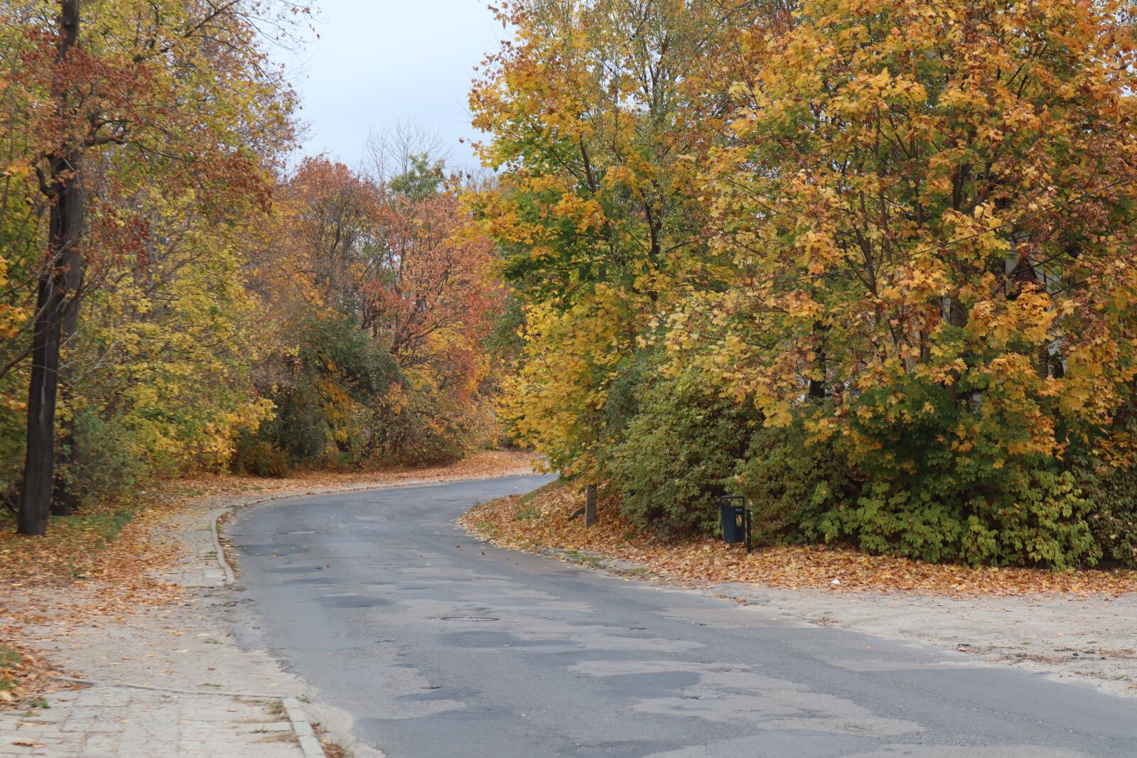 Canon EOS M50 (EOS Kiss M) sample photo. Autumn, way, road photography