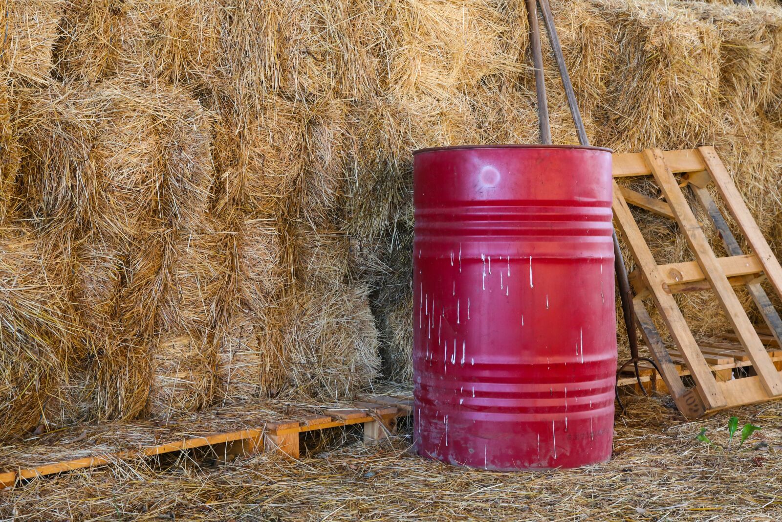 Canon EF 24-105mm F4L IS II USM sample photo. Straw, harvest, agriculture photography