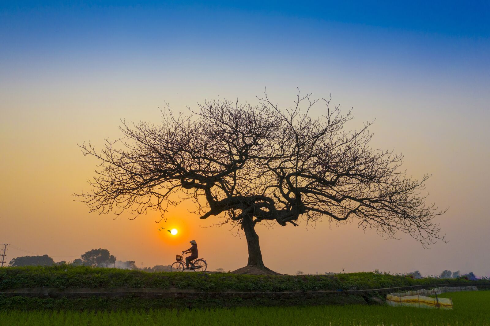 Hasselblad L1D-20c sample photo. Sunset, afternoon, bicycle photography