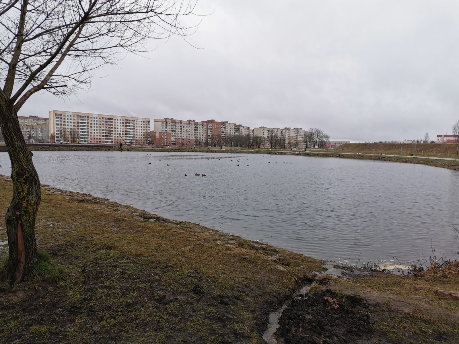 HUAWEI P30 sample photo. Lake, sky, city photography