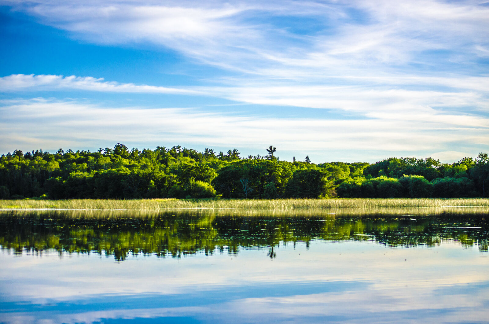 Nikon D5100 sample photo. Clouds, daylight, forest, grass photography
