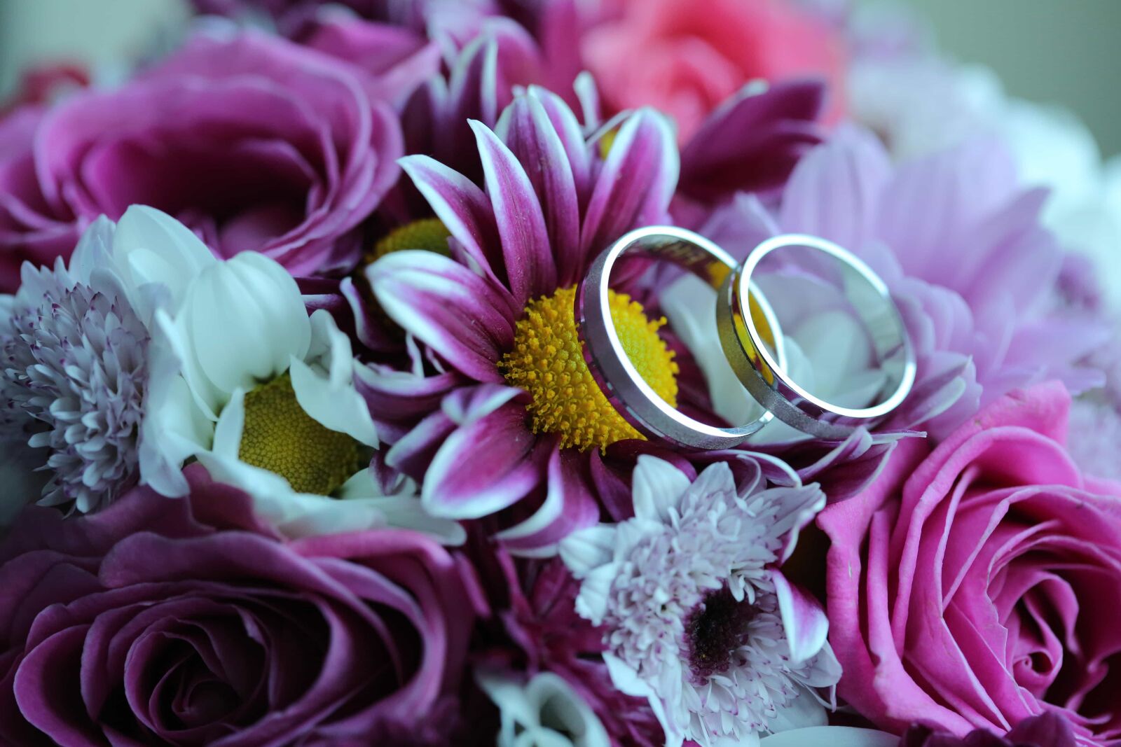 Canon EF 100mm F2.8 Macro USM sample photo. Bouquet, rings, romantic, wedding photography