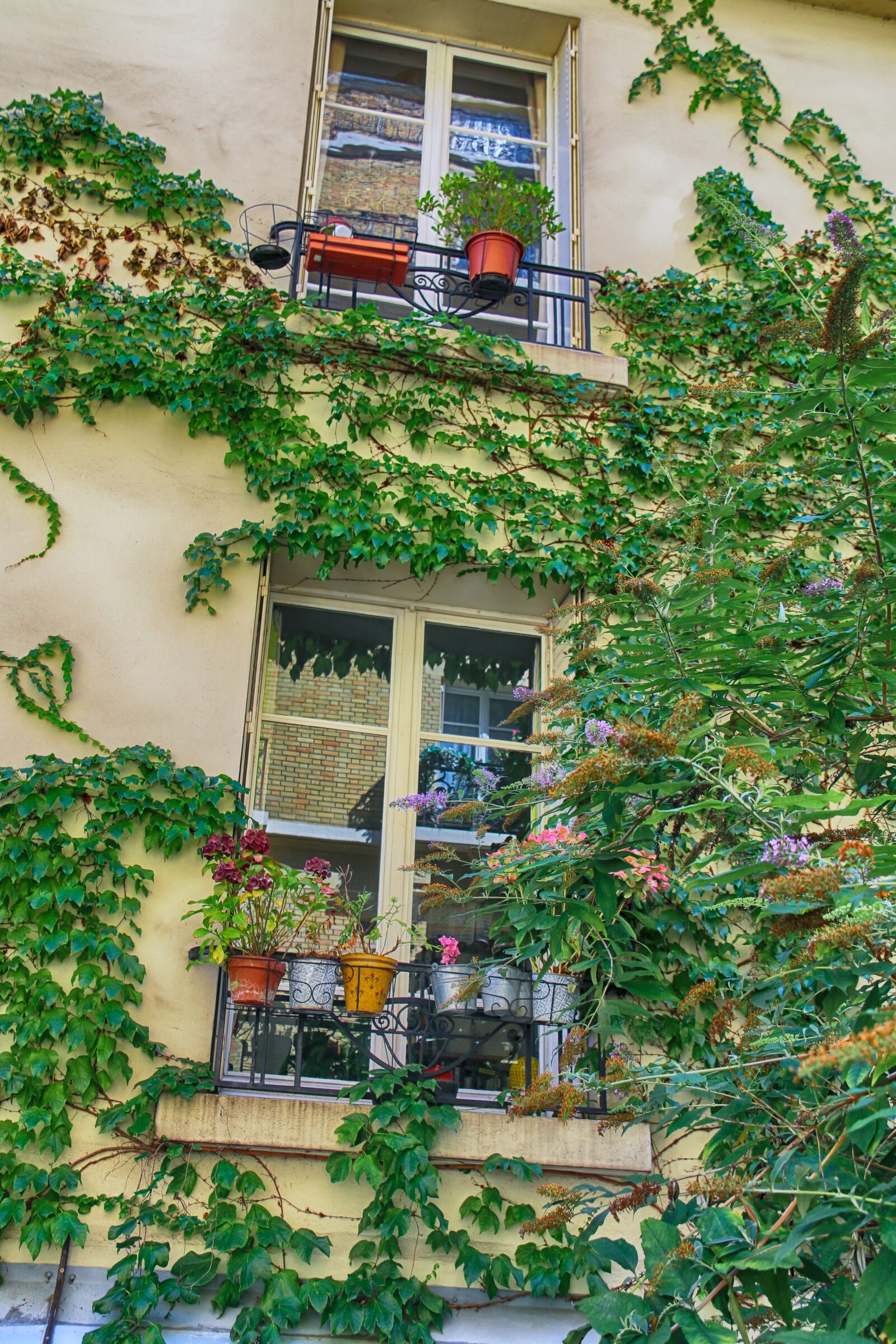 Canon EOS 70D sample photo. Window, paris, green photography