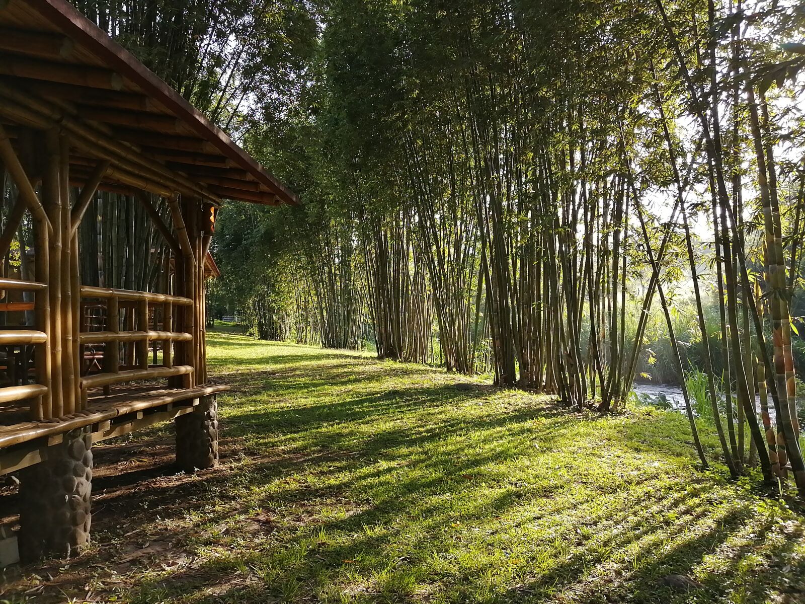 HUAWEI P9 LITE MINI sample photo. River, bamboo, nature photography