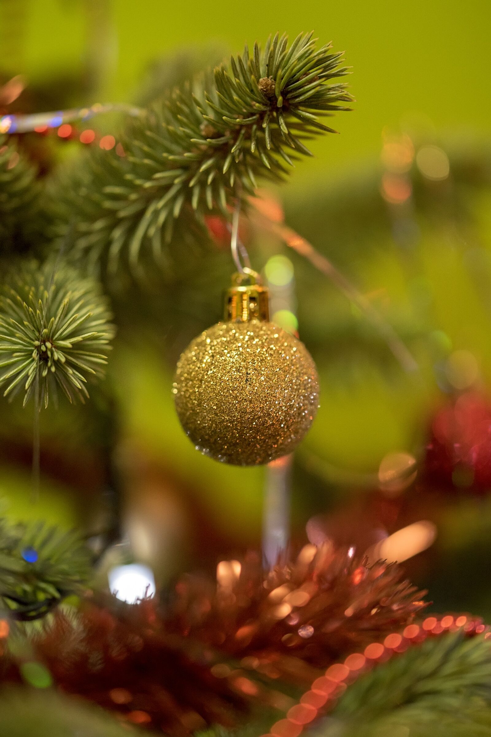 Nikon D750 sample photo. Tree, christmas, winter photography