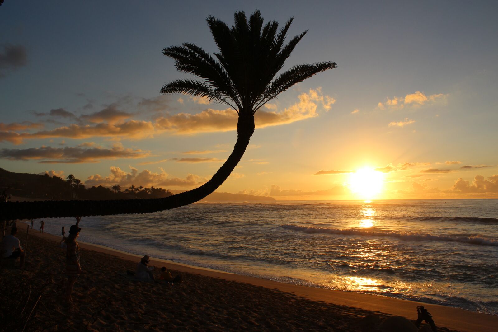 Canon EOS 650D (EOS Rebel T4i / EOS Kiss X6i) sample photo. Sunset, sunsetbeach, palm photography