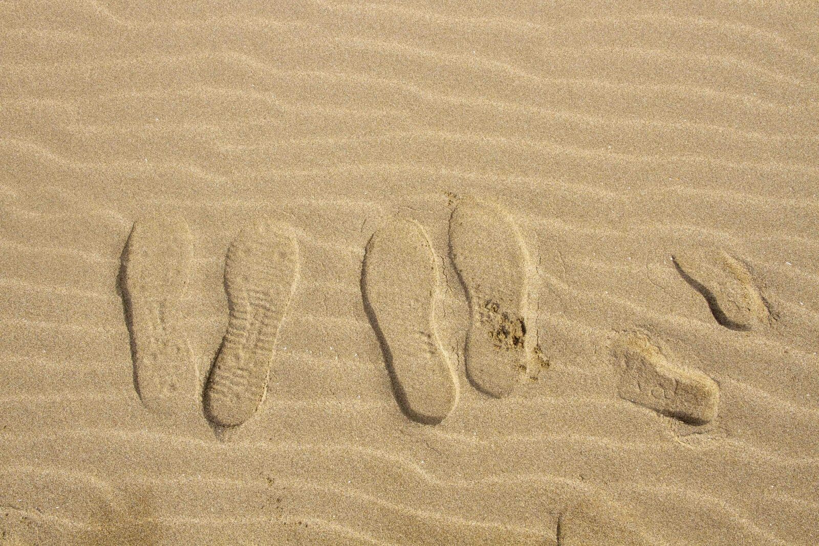 Canon EOS 7D sample photo. Feet, beach, sand photography