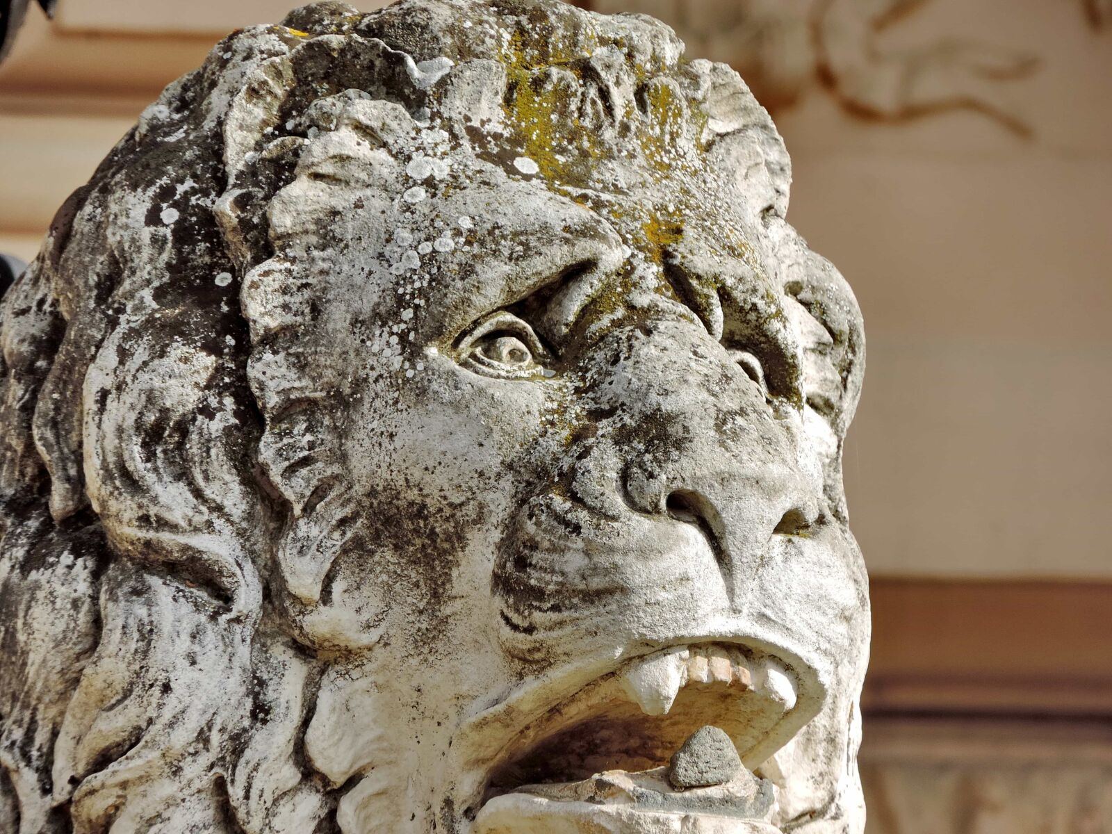Nikon Coolpix P520 sample photo. Head, lion, art, statue photography