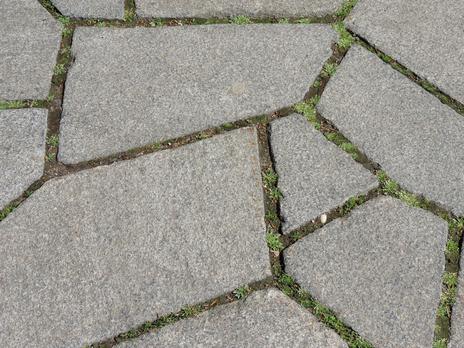 Nikon Coolpix P520 sample photo. Avenue, masonry, pavement, urban photography