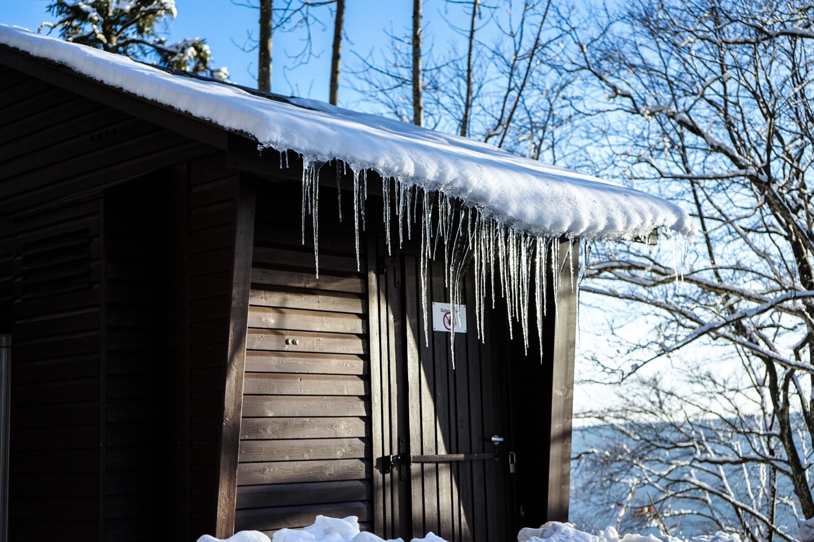 Sony a7 II + Sony FE 28-70mm F3.5-5.6 OSS sample photo. Winter, snow, icicle photography