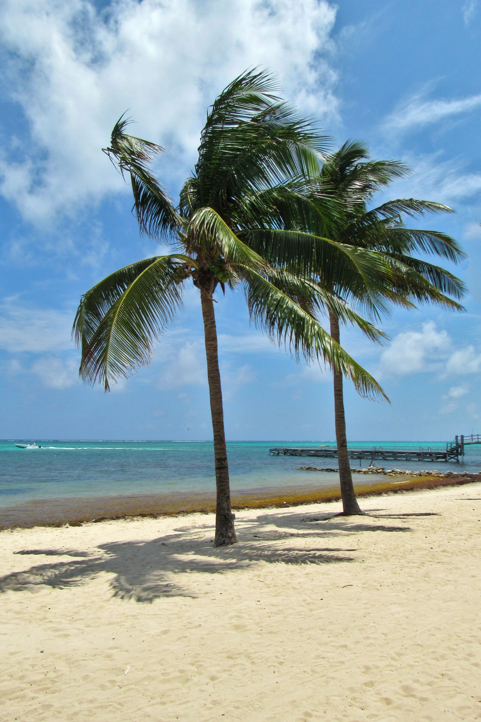 Canon PowerShot SX530 HS sample photo. Sand, beach, tropical photography