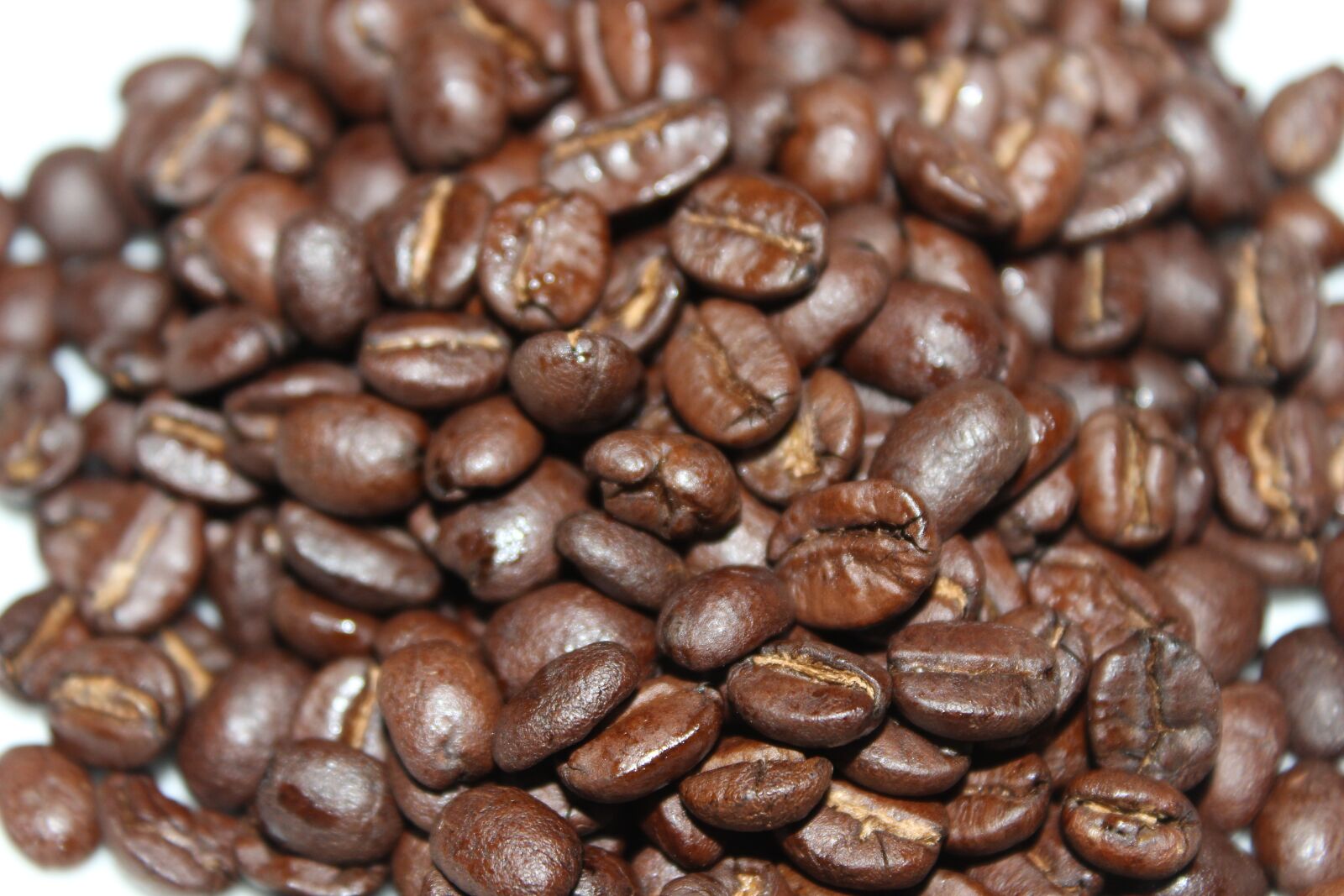 Canon EOS 600D (Rebel EOS T3i / EOS Kiss X5) sample photo. Coffee, coffee beans, b photography