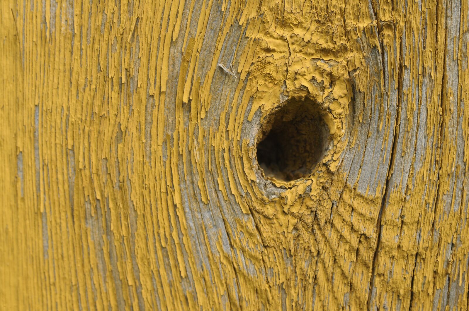 Nikon D300 sample photo. Wood, rub, hole photography