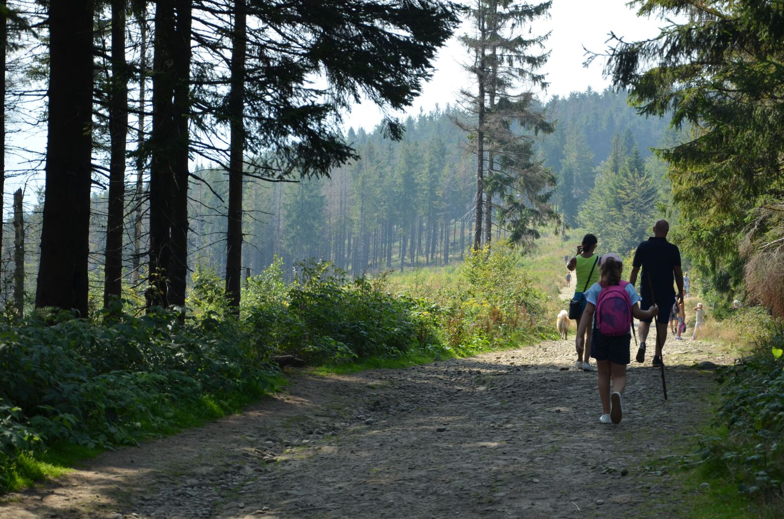 Nikon D5100 sample photo. Mountain, hiking, polish landscape photography