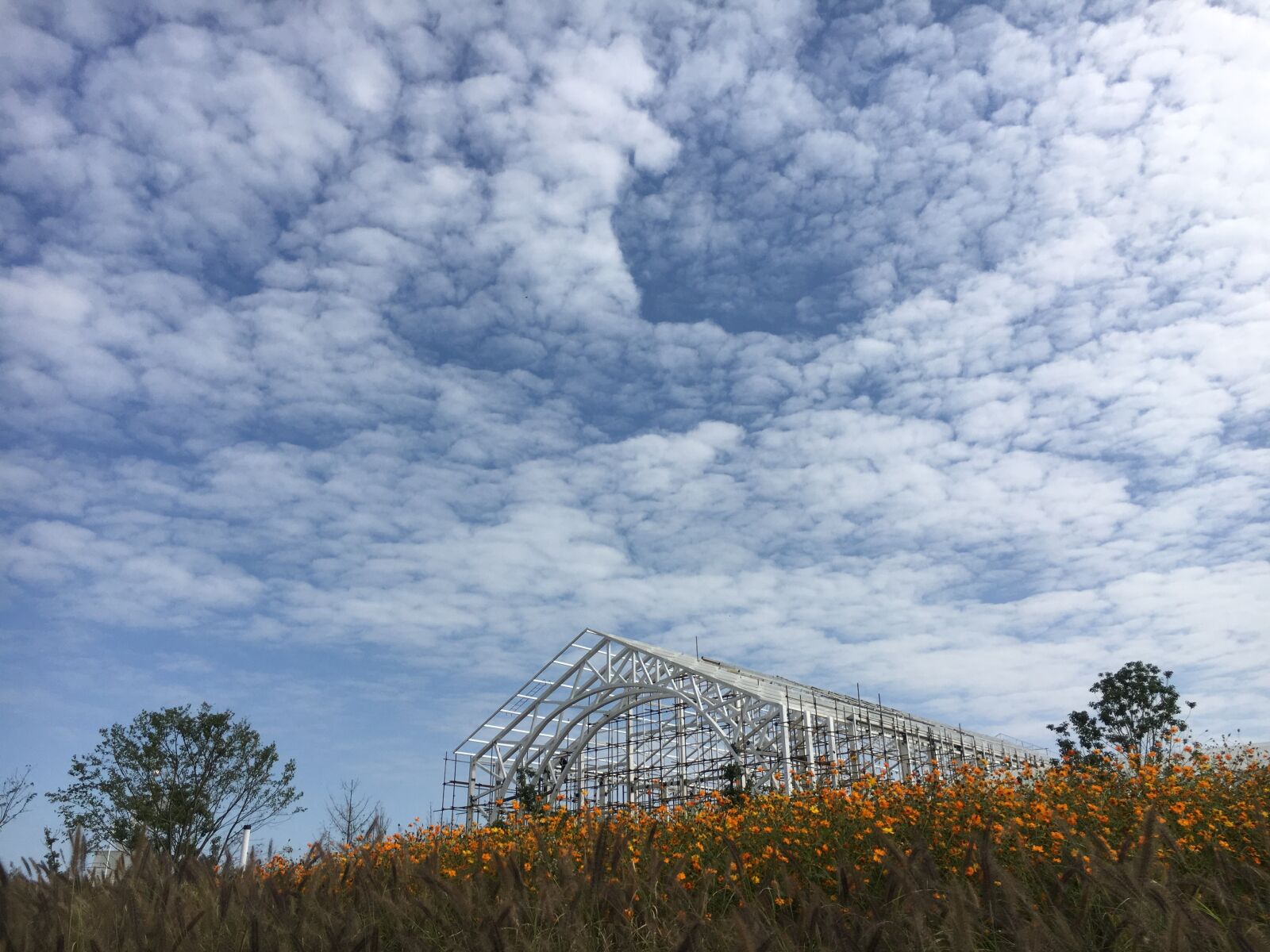 Apple iPhone 6s sample photo. Sky, cloud, iron shelf photography