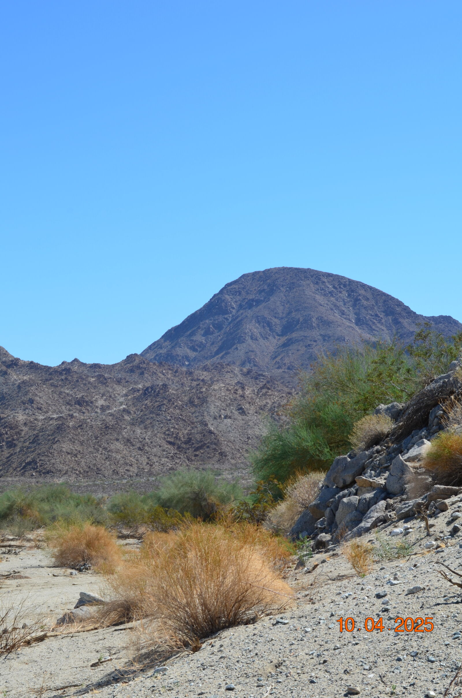 Nikon D5100 sample photo