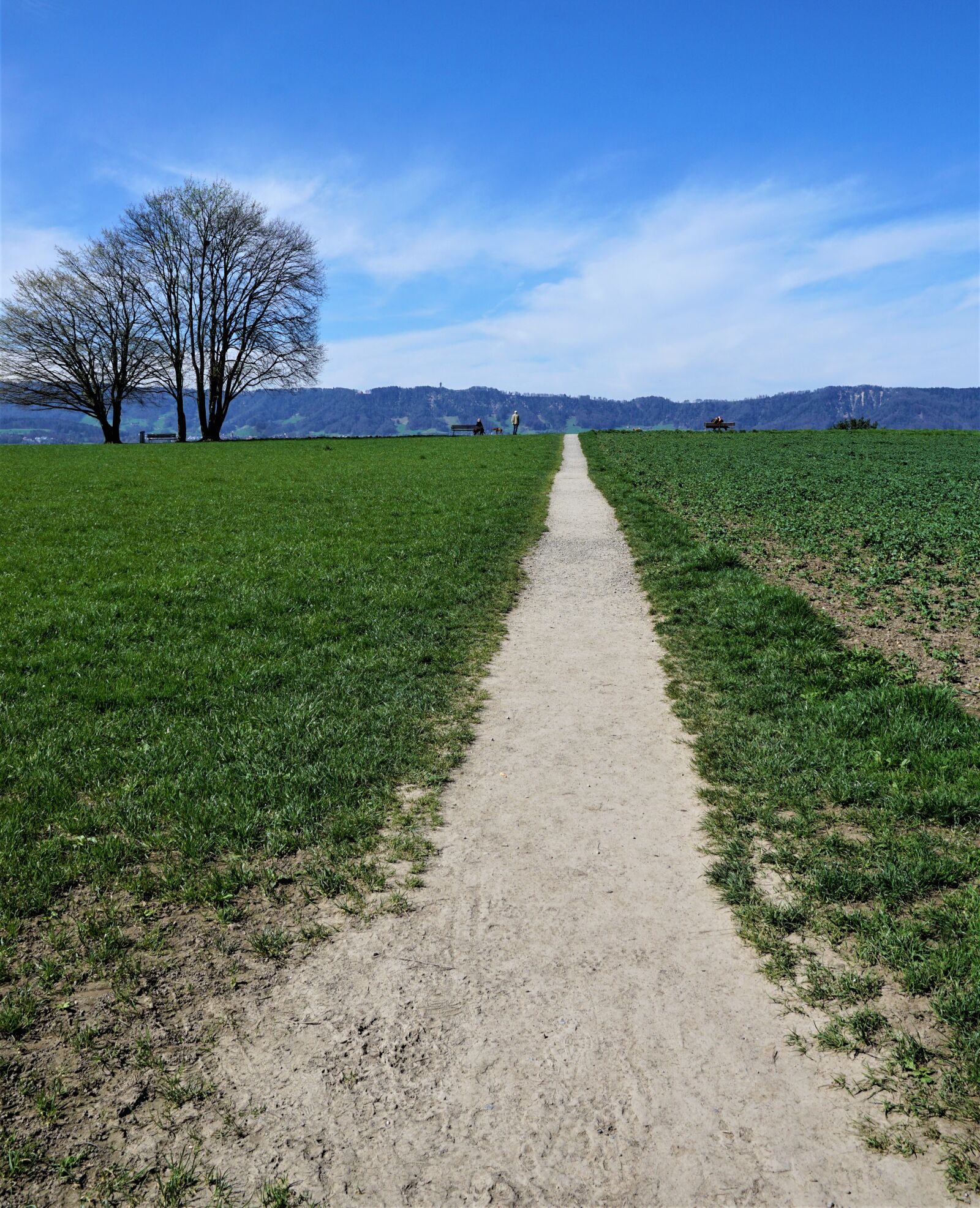 Sony ILCA-77M2 + Sony DT 16-50mm F2.8 SSM sample photo. Away, road, path photography
