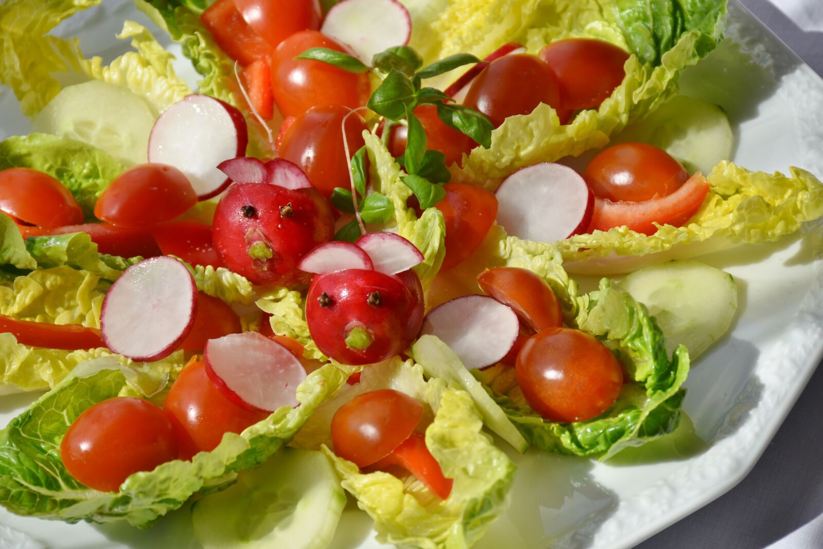 Nikon D7200 sample photo. Salad, mixed, tomato photography