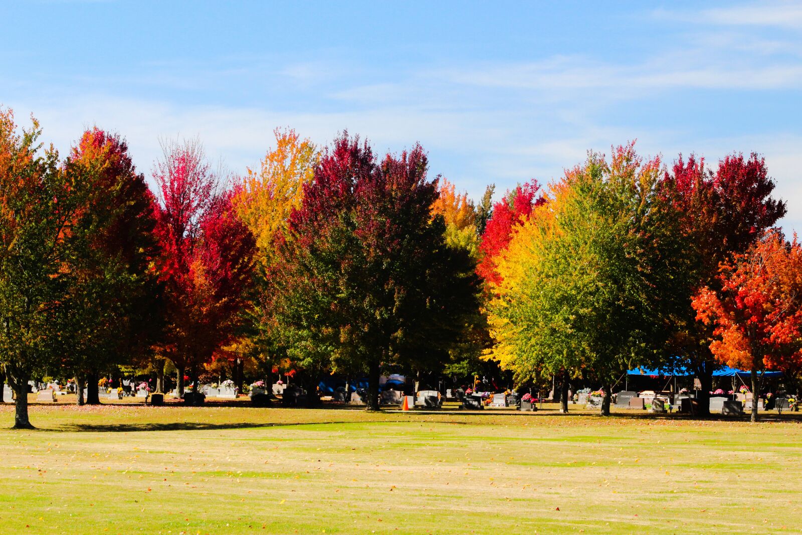 Canon EOS 1200D (EOS Rebel T5 / EOS Kiss X70 / EOS Hi) + EF75-300mm f/4-5.6 sample photo. Fall, trees, autumn photography