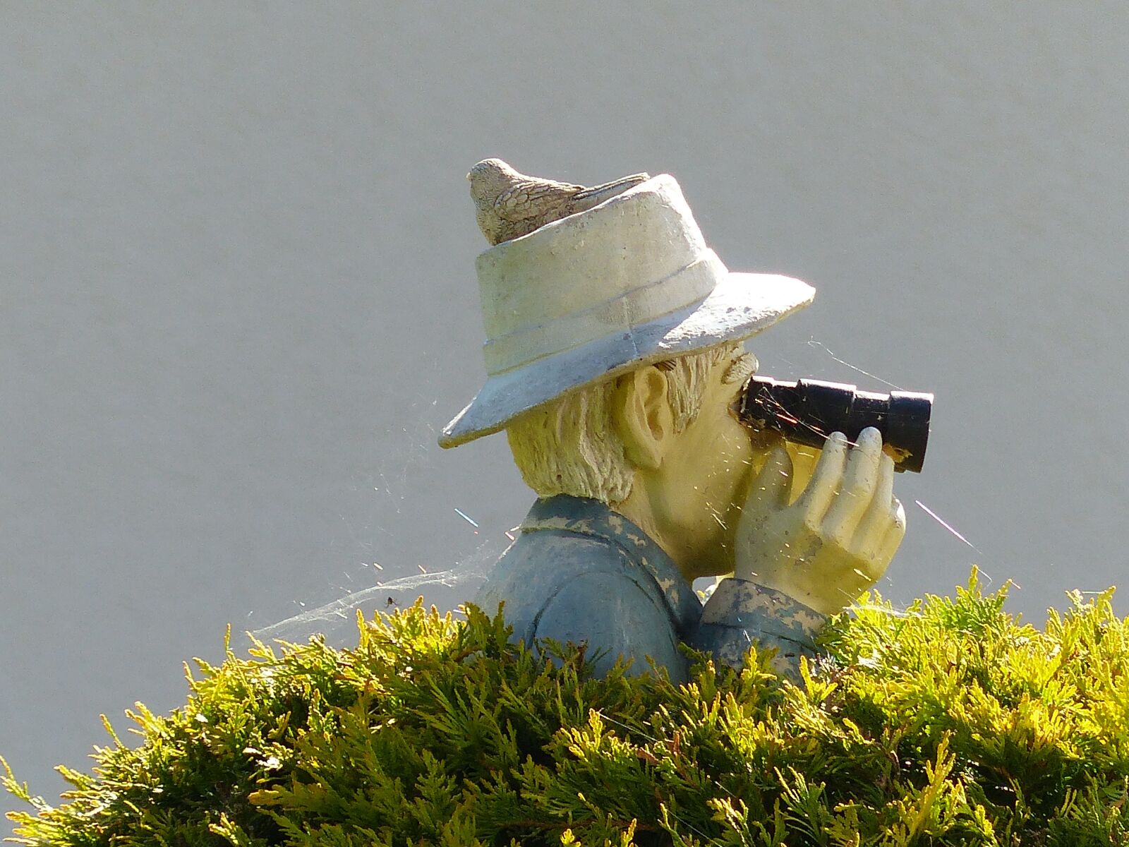 Panasonic Lumix DMC-FZ200 sample photo. Binoculars, bush, sensing photography