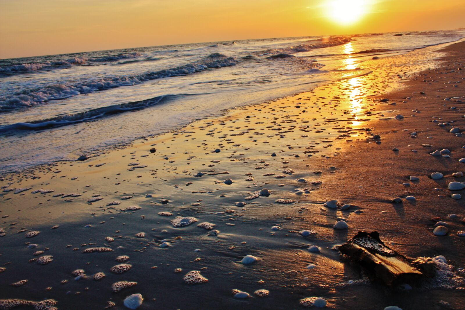 Canon EOS 450D (EOS Rebel XSi / EOS Kiss X2) sample photo. Beach, sunset, waves photography