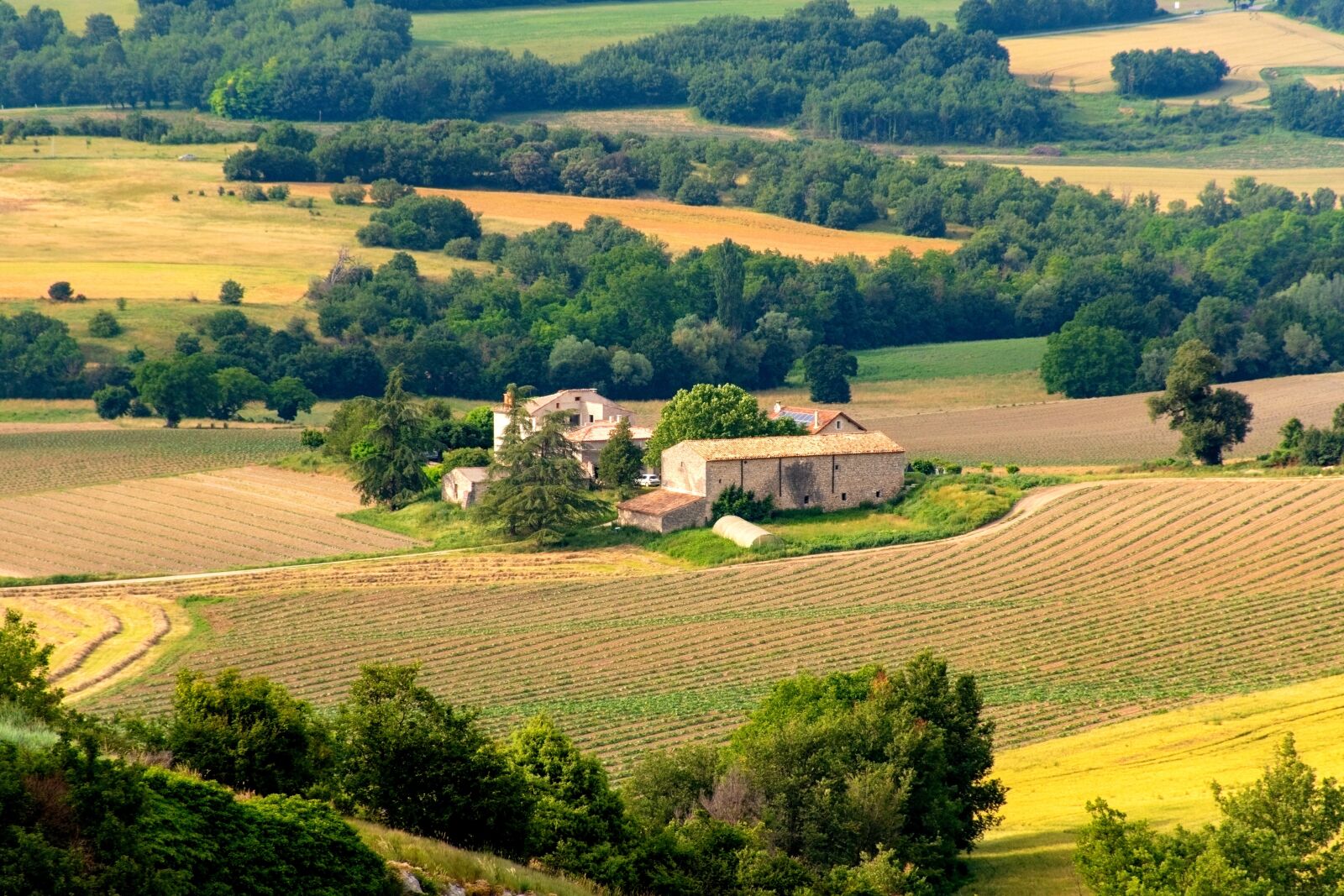 Nikon D5600 sample photo. Provencal, countryside, farmland photography