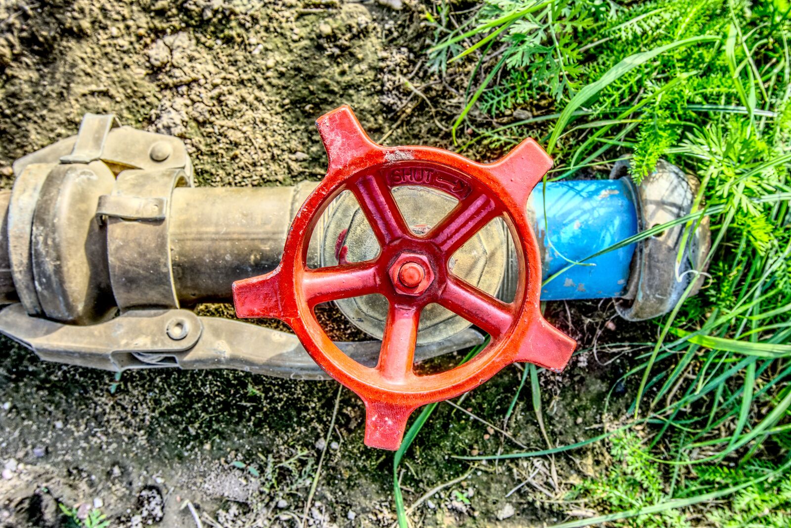 Sony a6000 sample photo. Valve, faucet, irrigation photography