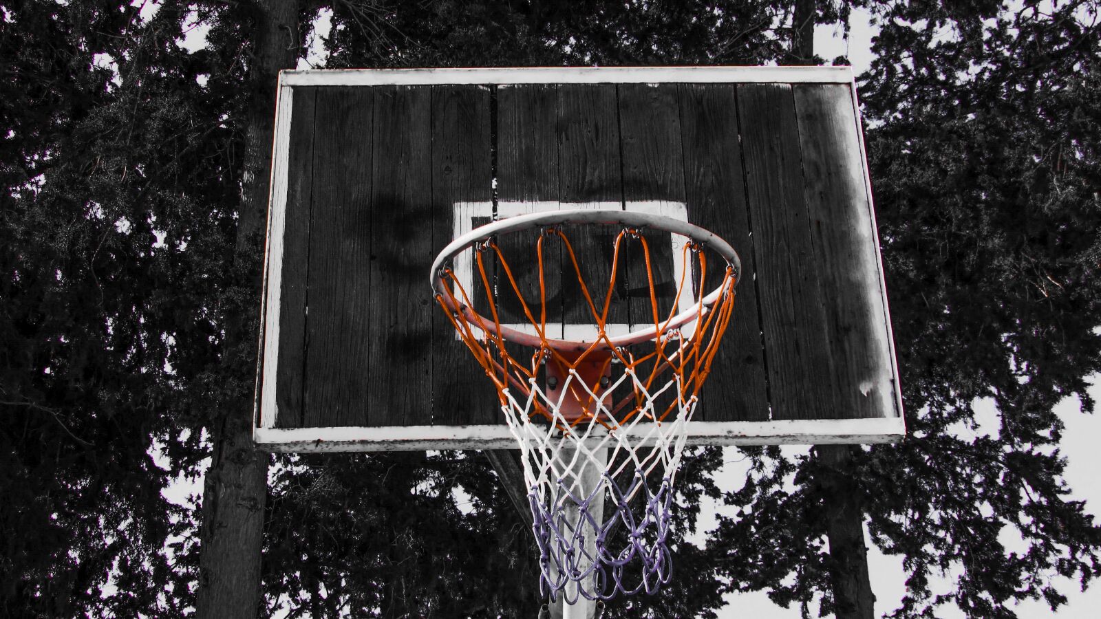 Canon PowerShot SX400 IS sample photo. Basketball, sport, net photography