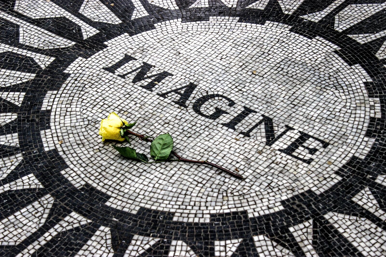 Canon EOS 600D (Rebel EOS T3i / EOS Kiss X5) sample photo. Imagine, john lennon, peace photography