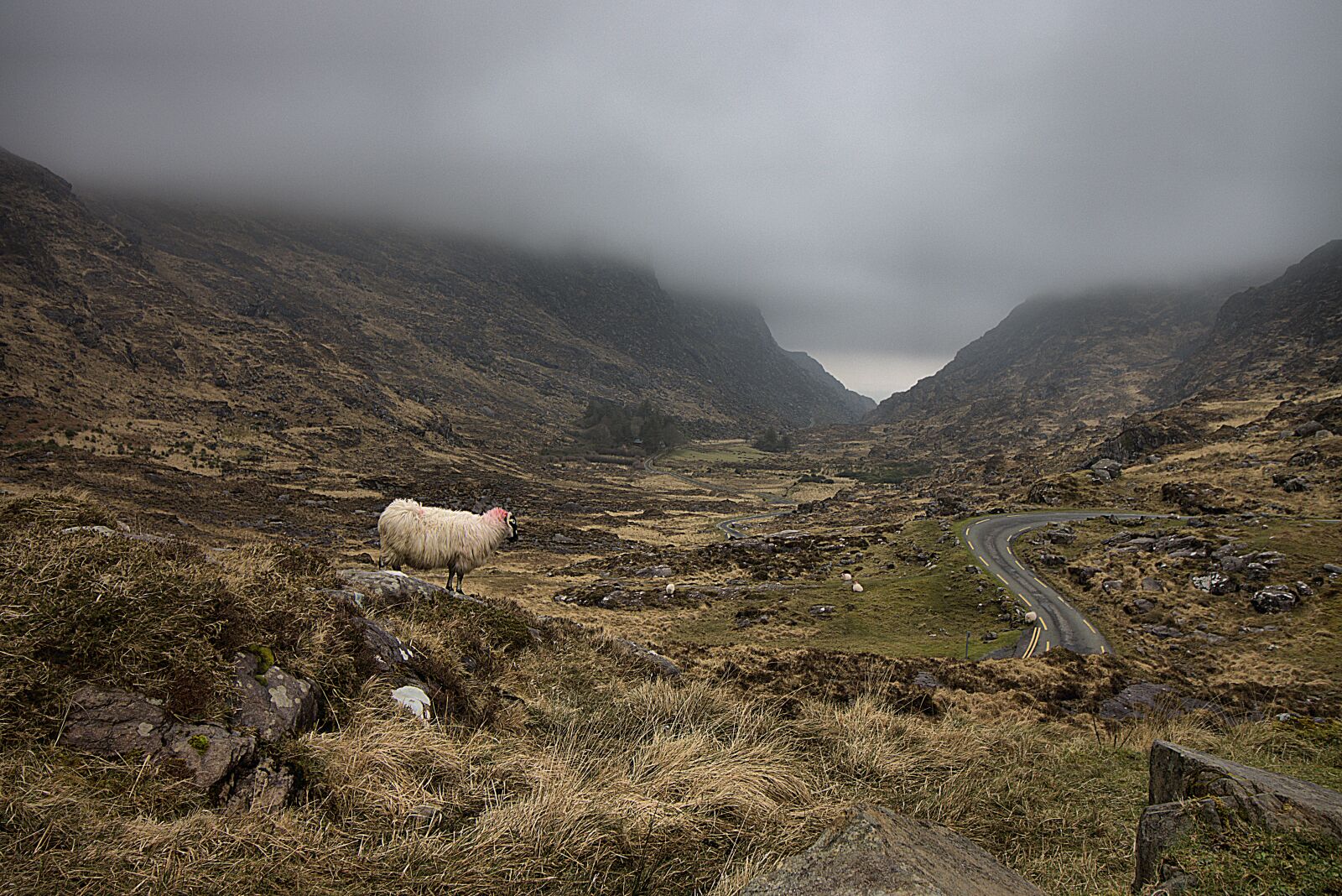 Canon EOS 90D sample photo. The gap of dunloe photography