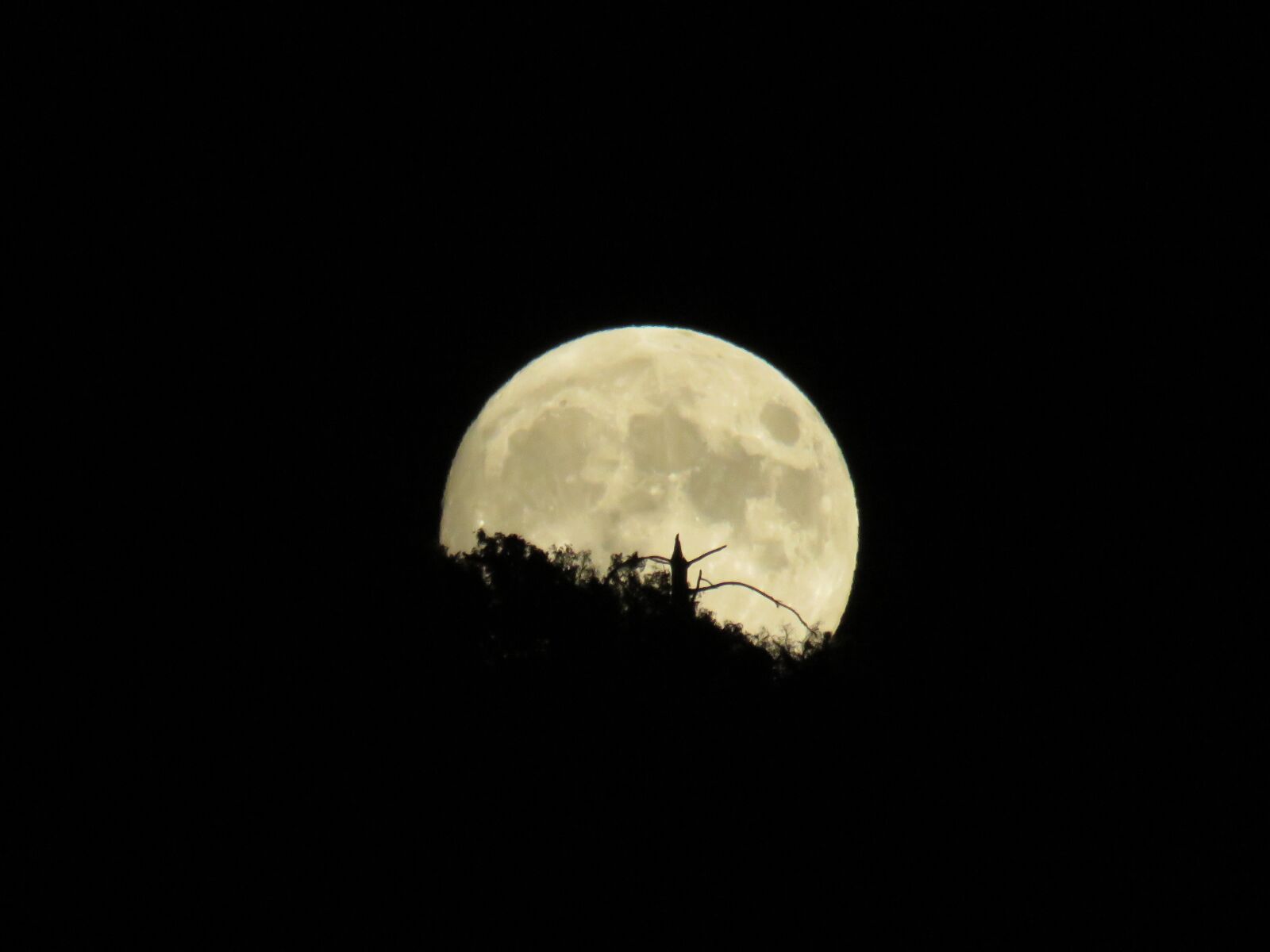 Canon PowerShot SX60 HS sample photo. Moon, astro, the mystery photography