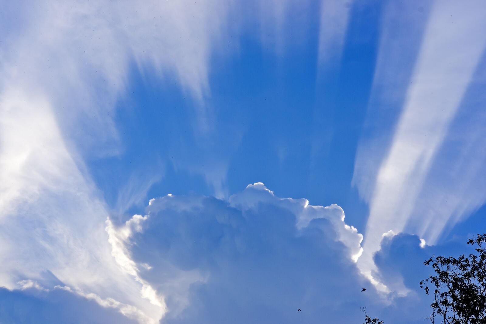 Sony Alpha DSLR-A850 sample photo. Sky, clouds, blue sky photography