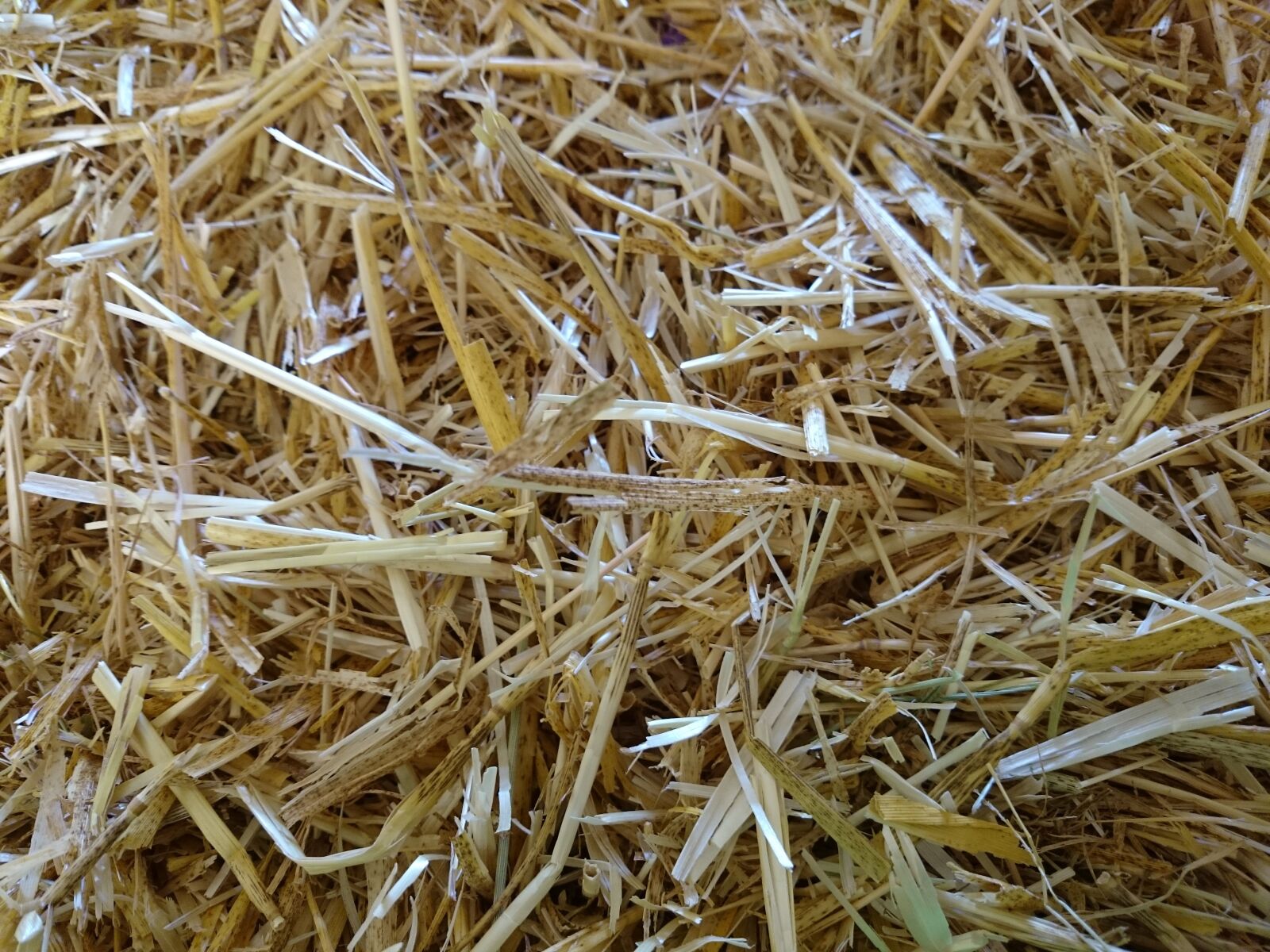 Sony Xperia Z2 sample photo. Straw, hay, haystack photography