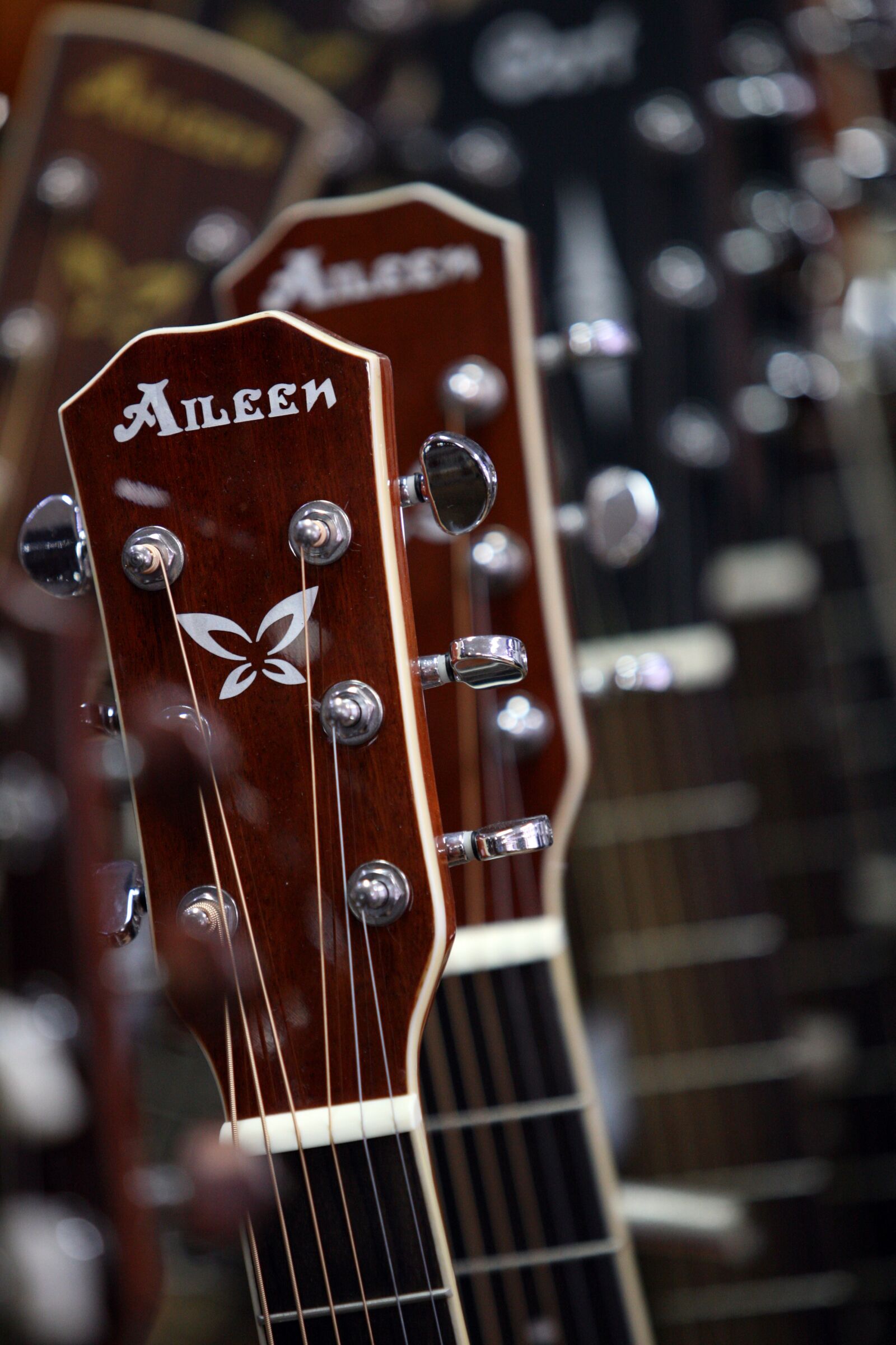 Canon EOS 5D sample photo. Instrument, music, played photography
