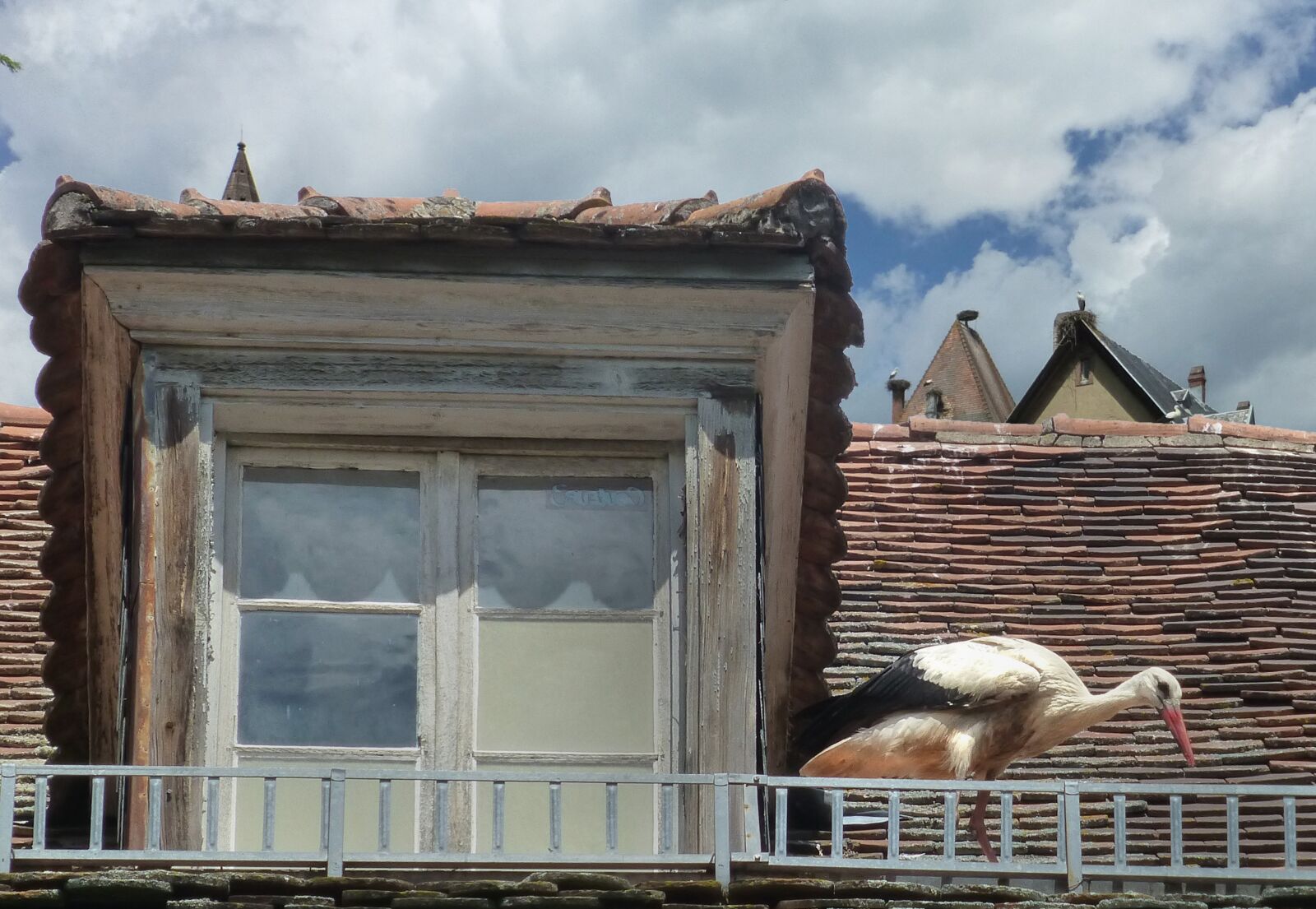 Panasonic DMC-TZ31 sample photo. Stork, housetop, stork nests photography