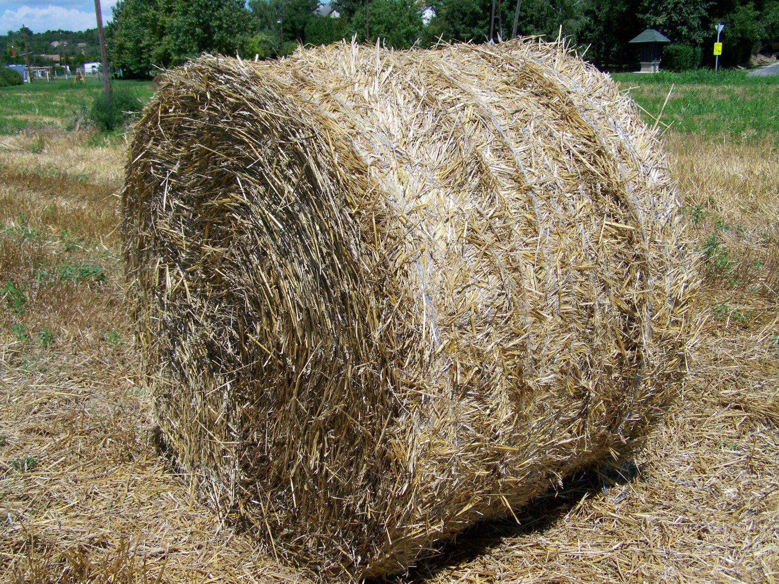 Kodak EASYSHARE ZD710 ZOOM DIGITAL CAMERA sample photo. Straw bale, potential gabonasz photography