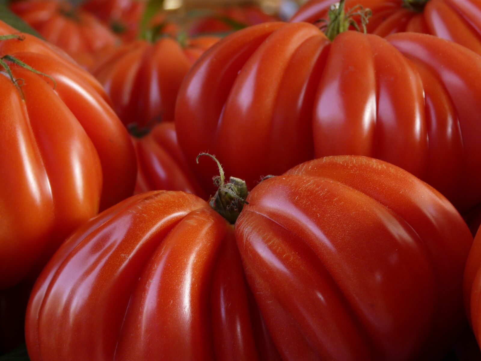 Panasonic DMC-FZ18 sample photo. Beef tomatoes, tomato, food photography