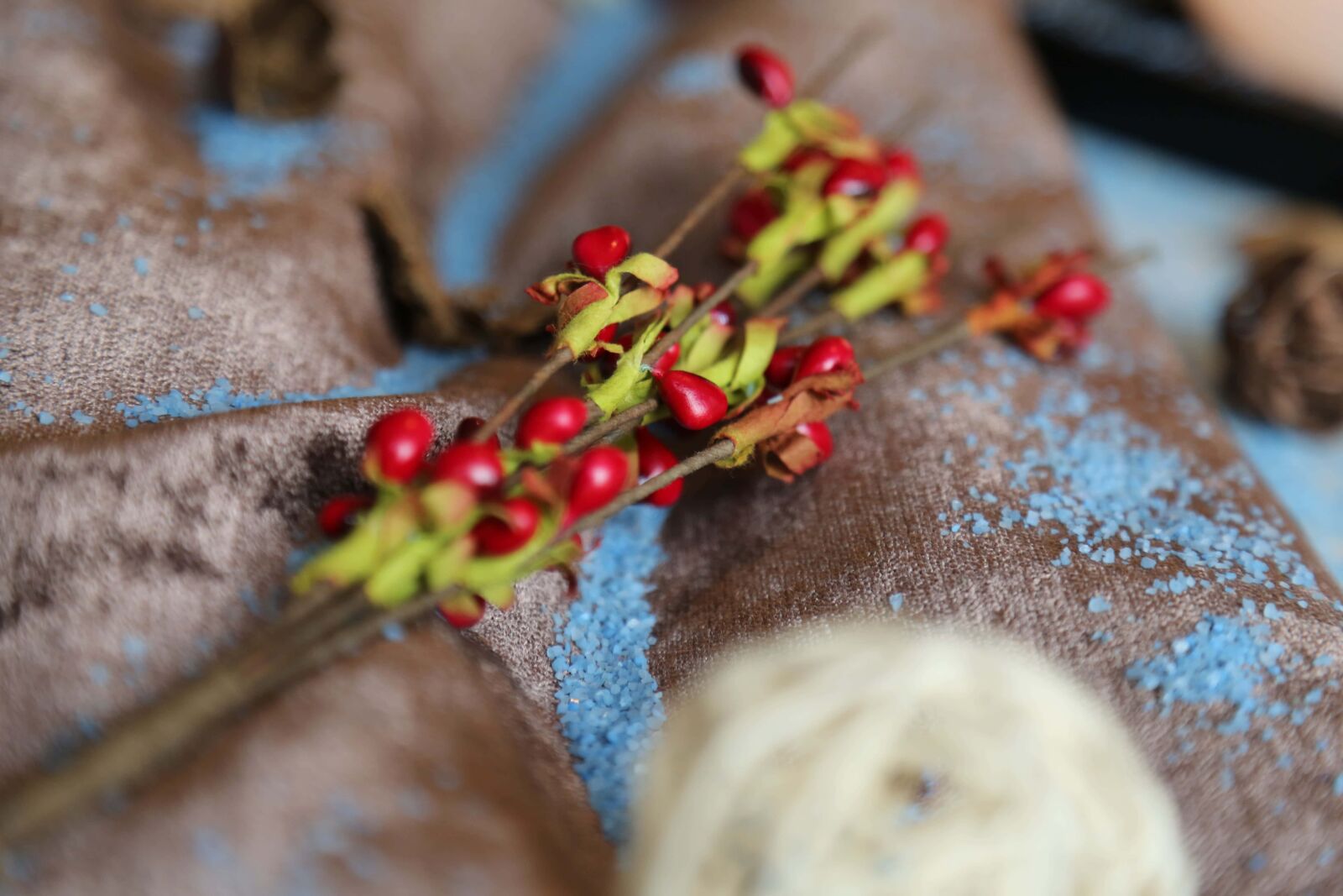 Canon EOS 5D Mark III sample photo. Berries, interior decoration, textile photography